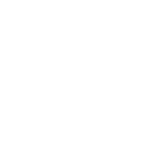 Texas Icon