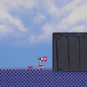 Time Door System